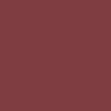 Adidas Puig Samba Shoes - Maroon/Semi Solar Yellow/Shadow Red - Image 5