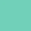 Anti-Hero Team Jalopi Yardbird Skateboard Complete - Teal - 9.81" - Image 2