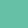 Anti-Hero Team Jalopi Yardbird Skateboard Deck - Teal - 9.81" - Image 3
