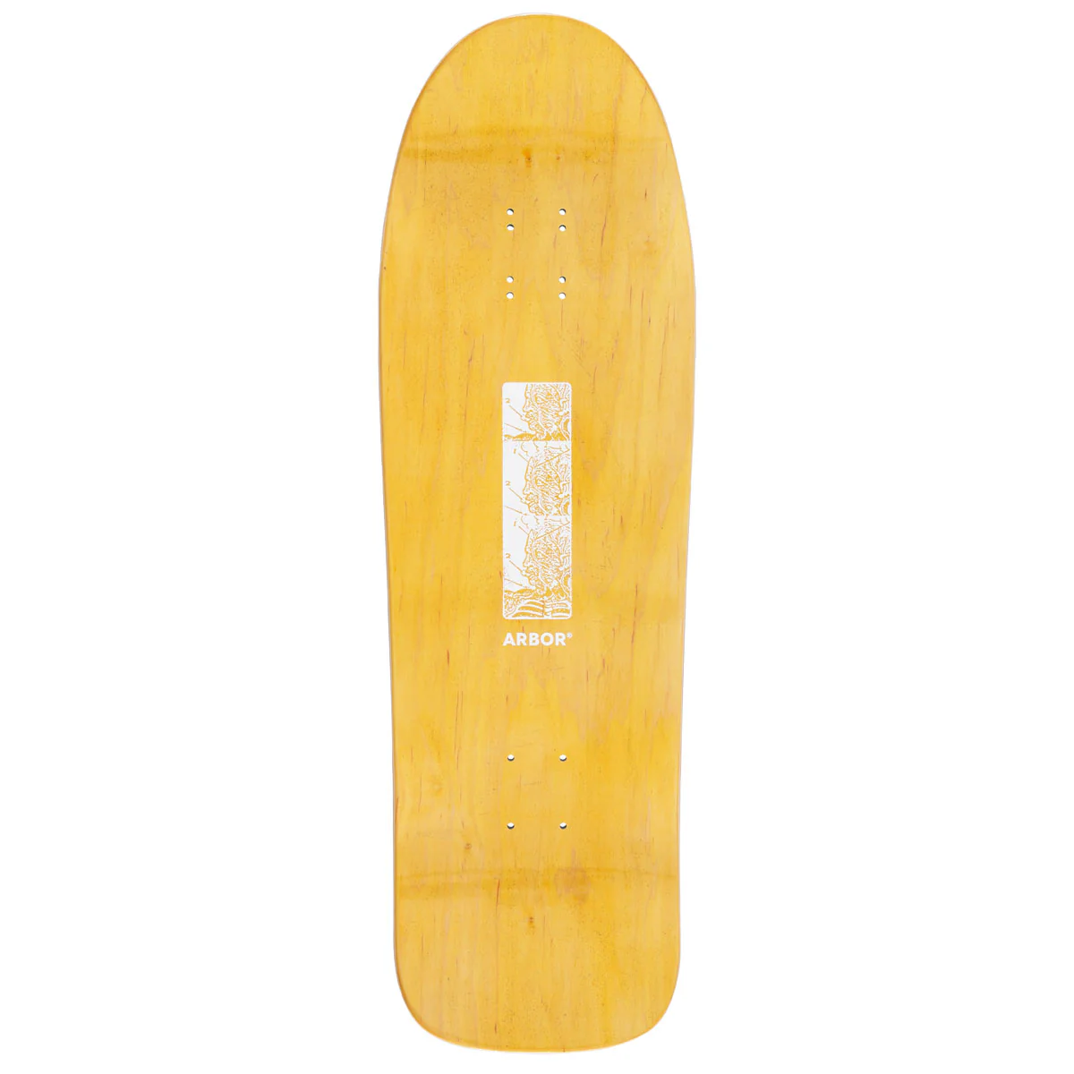 Arbor Ace Pelka Anatomy Skateboard Complete - 9.75" - Image 2