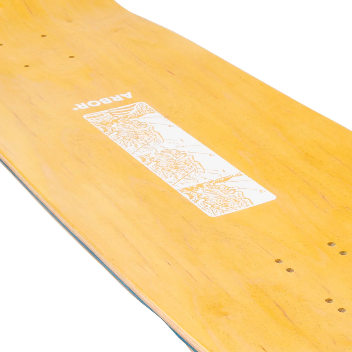 Arbor Ace Pelka Anatomy Skateboard Complete - 9.75" - Image 3