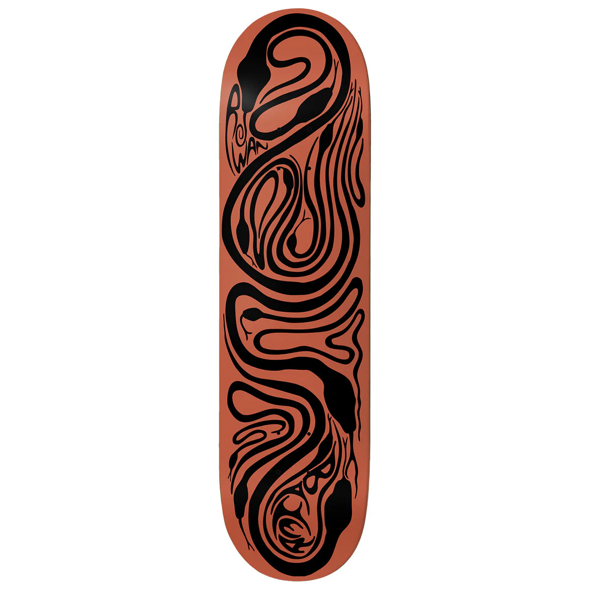 Baker Rowan Zorilla Brain Rabies Skateboard Deck - 8.125"
