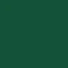 CCS All In One Grip Tape Skate Bundle - Green - Image 2