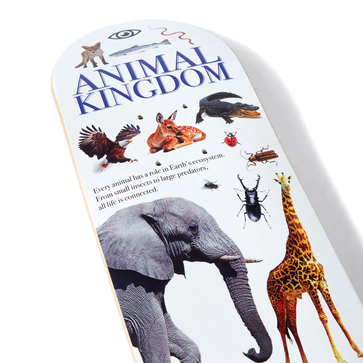 CCS Brain Food Animal Kingdom Mini Skateboard Complete - White - Image 5