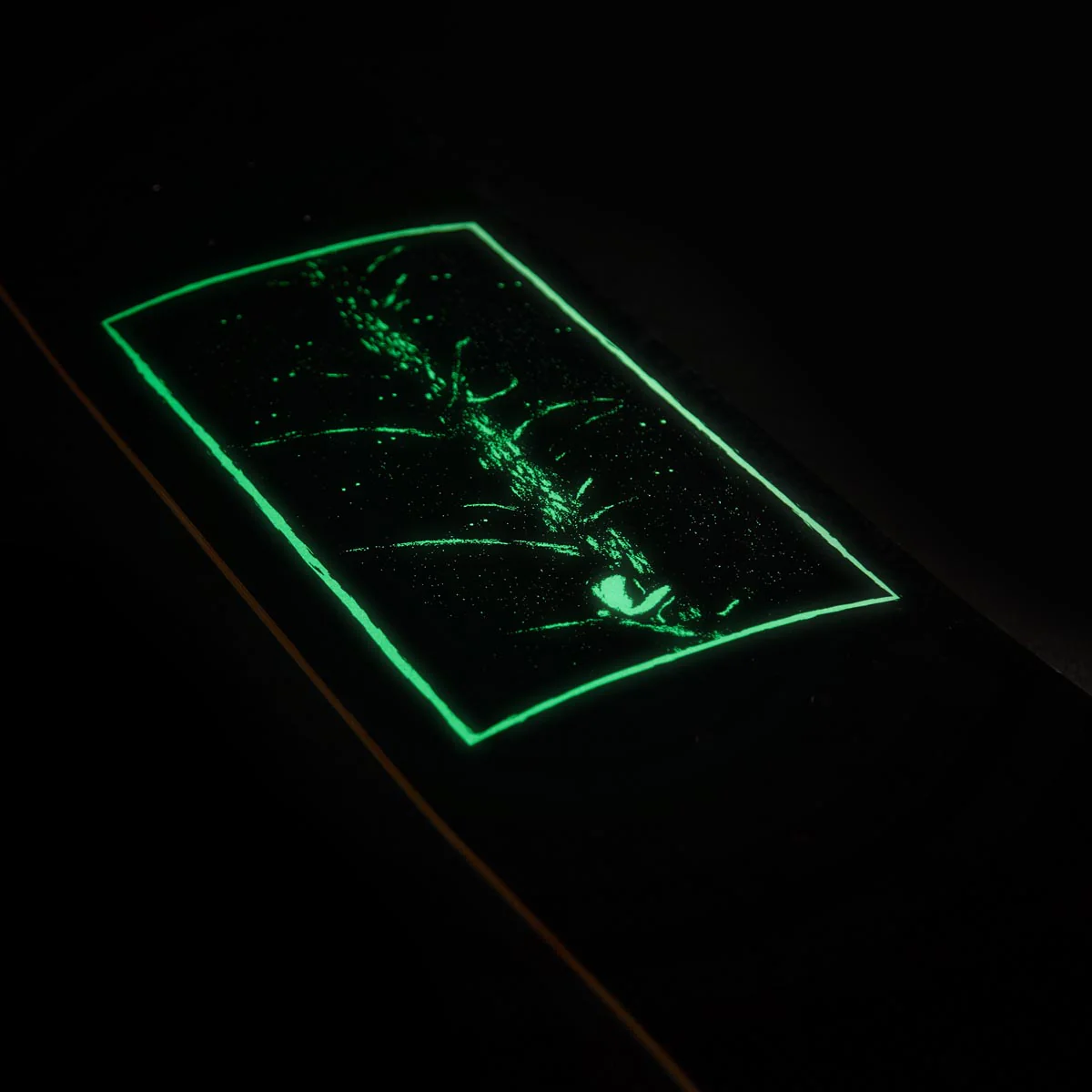CCS Fear of the Dark Skateboard Deck - Glow - Image 4
