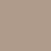 CCS Gunmetal 96 Logo Web Belt - Tan - Image 4