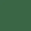 CCS Logo Mini Skateboard Complete - Evergreen - Image 7