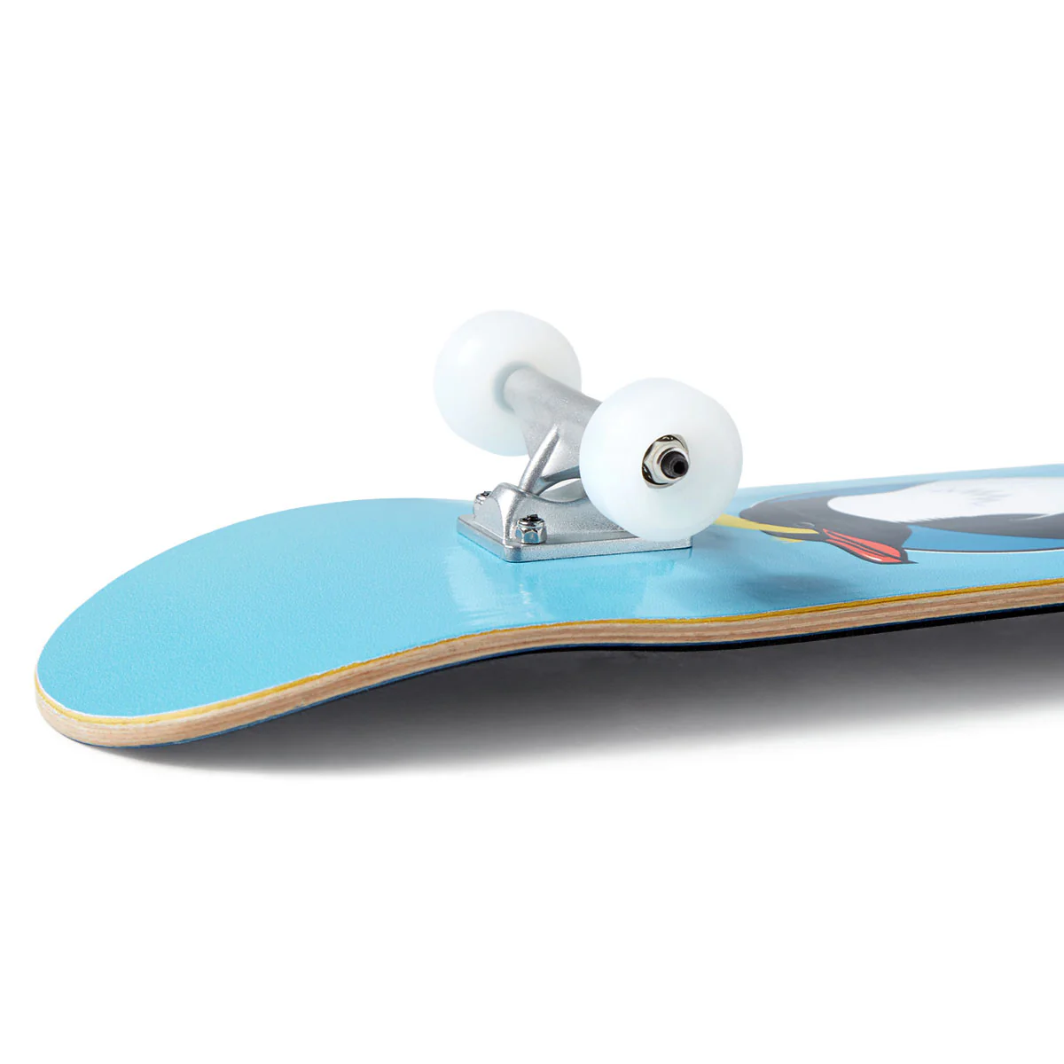 CCS Penguin Handboard - Blue - Image 6