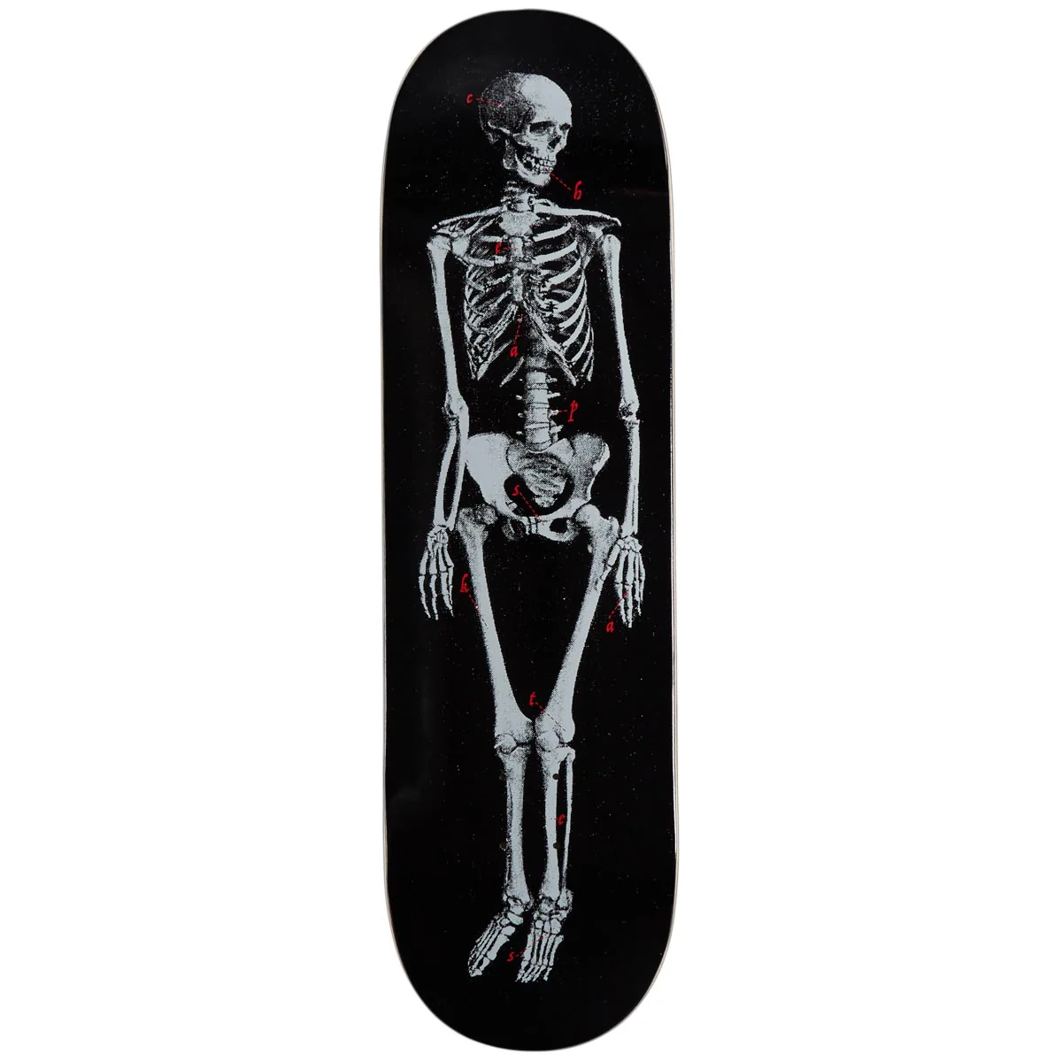 CCS Skeleton Skateboard Deck - Black - 9.00"