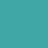 Meow Big Cat Skateboard Deck - Teal - 8.25" - Image 3