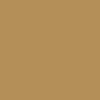 Nixon Small Time Teller Watch - All Gold - Image 4