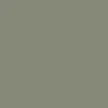 RVCA Big Cat T-Shirt - Army - Image 6