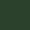 Thrasher Fuego T-Shirt - Forest Green - Image 2