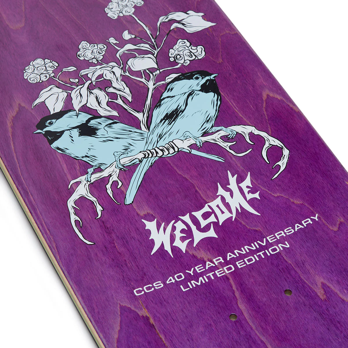 Welcome x CCS Nora Fairy Tale on Wicked Queen Skateboard Deck - 8.60" - Image 3